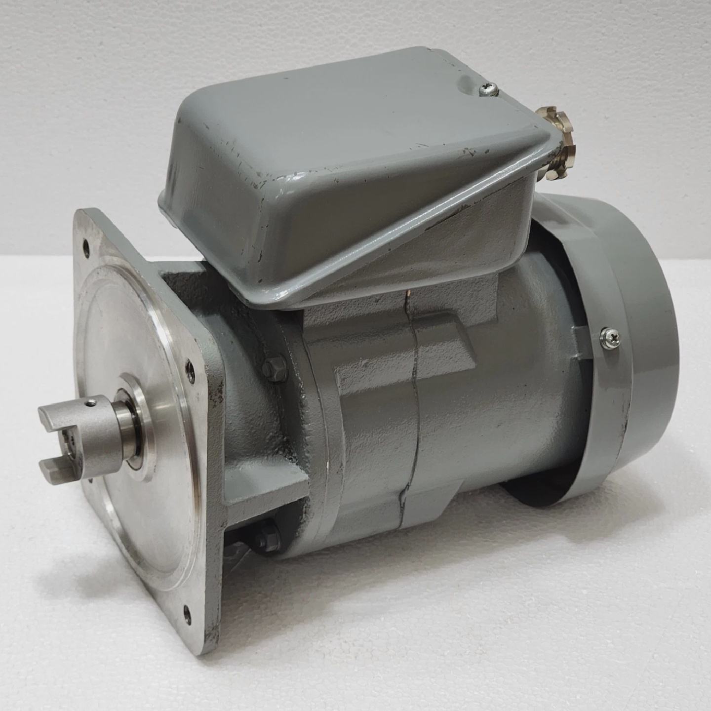 Moteur Synchrone Monophas Kawamata Seiki KAR JEC114 100110V - 实物图