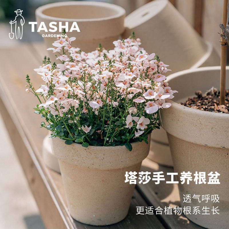 塔莎的花园陶土花盆国际小大号粗陶多肉兰花盆家用阳台种菜专用