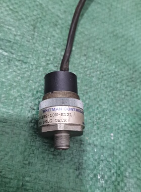 WHITMANCONTROLS压力开关型号P119G