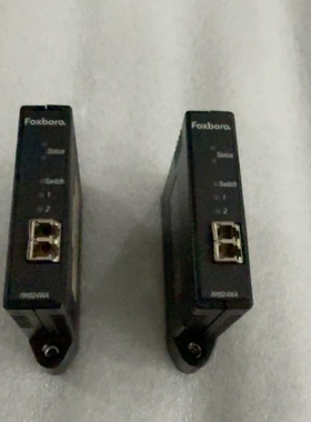 RH924WA福克斯波罗FOXboro出售图为实物-议价