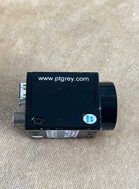 （议价）FLEA-HIBWIEEE-1394灰点相机