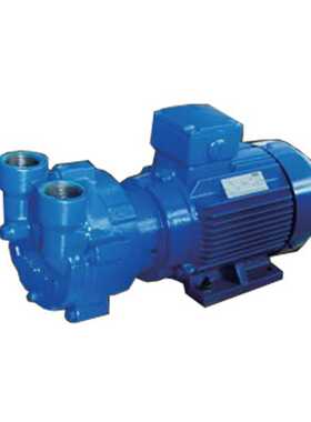 优势供应意大利原装进口bDVP真空泵泵叶3301018