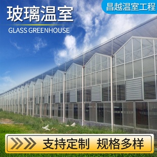 热镀锌钢管骨架供应顶部开窗遮阳保温阳光板温室工程建造