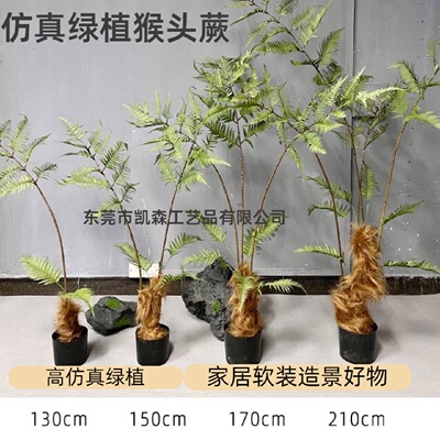 软装造景仿真猴头蕨类盆栽仿真金丝猴蕨室内落地装饰品假植物绿植
