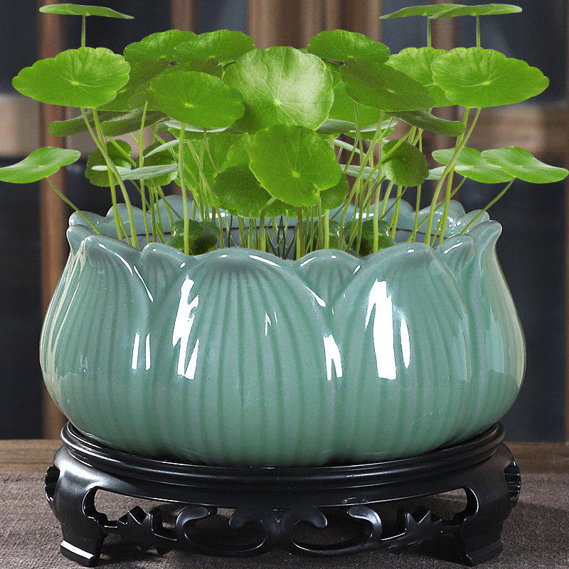 碗莲花盆陶瓷粗陶复古水培铜钱草一叶莲植物孔水养金钱草绿