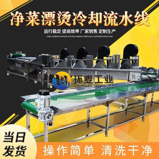 凈菜漂燙冷卻設(shè)備蔬菜殺青清洗線野菜凈菜漂燙護(hù)色冷卻線