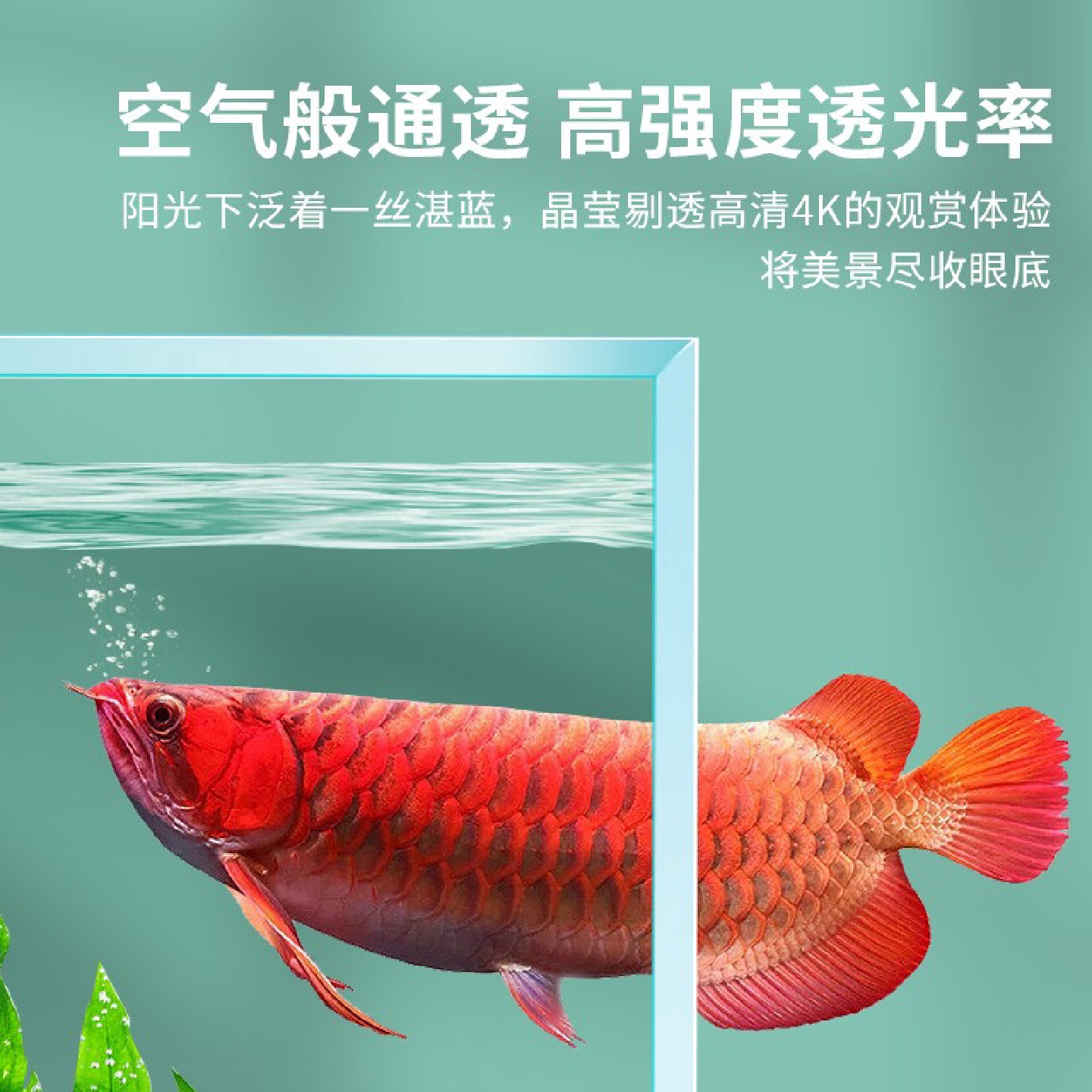家用生态鱼缸超白玻璃小型客厅乌龟观赏鱼饲养造景生态金鱼水草缸