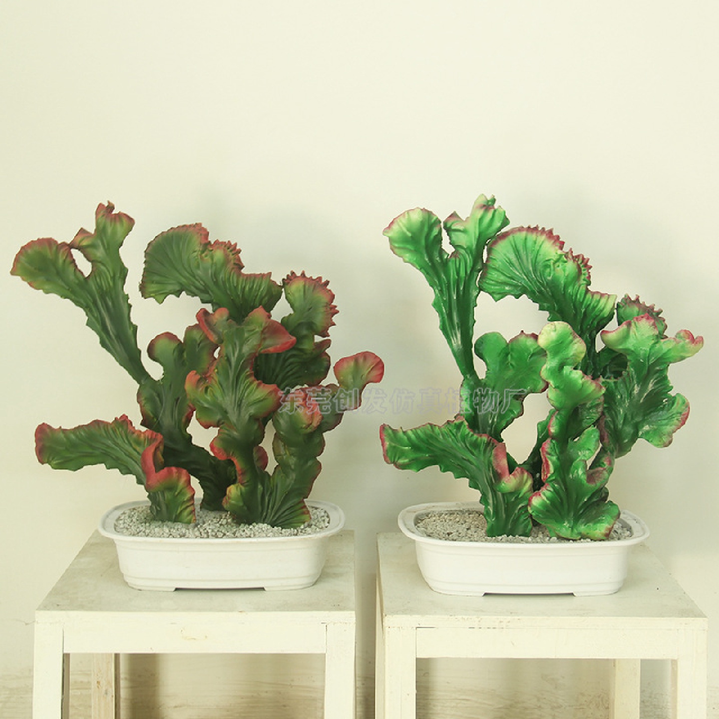 厂家供应仿真肉类植物仙人掌盆栽室内摆件盆景绿植玉麒麟火掌