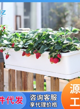 欧林泽一件代发阳台种菜花盆种菜盆悬挂铁艺挂架花盆窗台栏杆花架