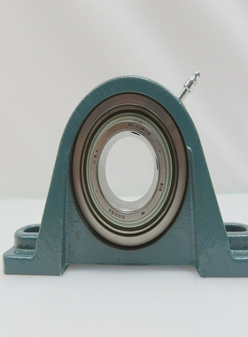 DodgePillowBlockBearingNIBP2BSCH115E126407SC-1-15/16