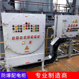 工廠防爆配電箱控制動力儀表檢修箱電伴熱電源開關接線配電柜