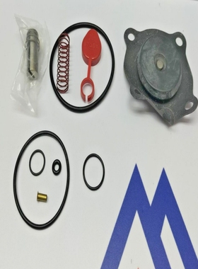 AscoValve172623RebuildKit00-114299RepairKit