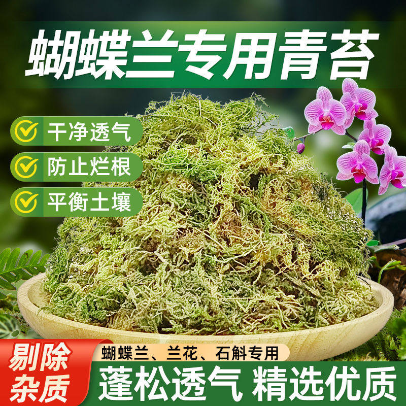 青苔水苔蝴蝶兰专用营养土特级干苔藓兰花石斛盆景种植土乌龟