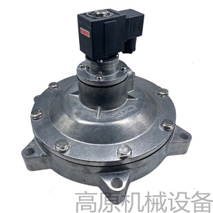 WPS TG25DCF 脉冲电磁阀 102SDCF 102B35寸淹没式