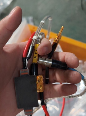 RTD温度传感器，带线材和接头，红色和黑色线缆，金色接头，成-议