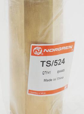 IMI Norgren TS524 TS524B max.16bar max.150C Rckschlagventil