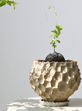 Japanese Ceramic Flower Pot Durian Root Green Plant Nordic C