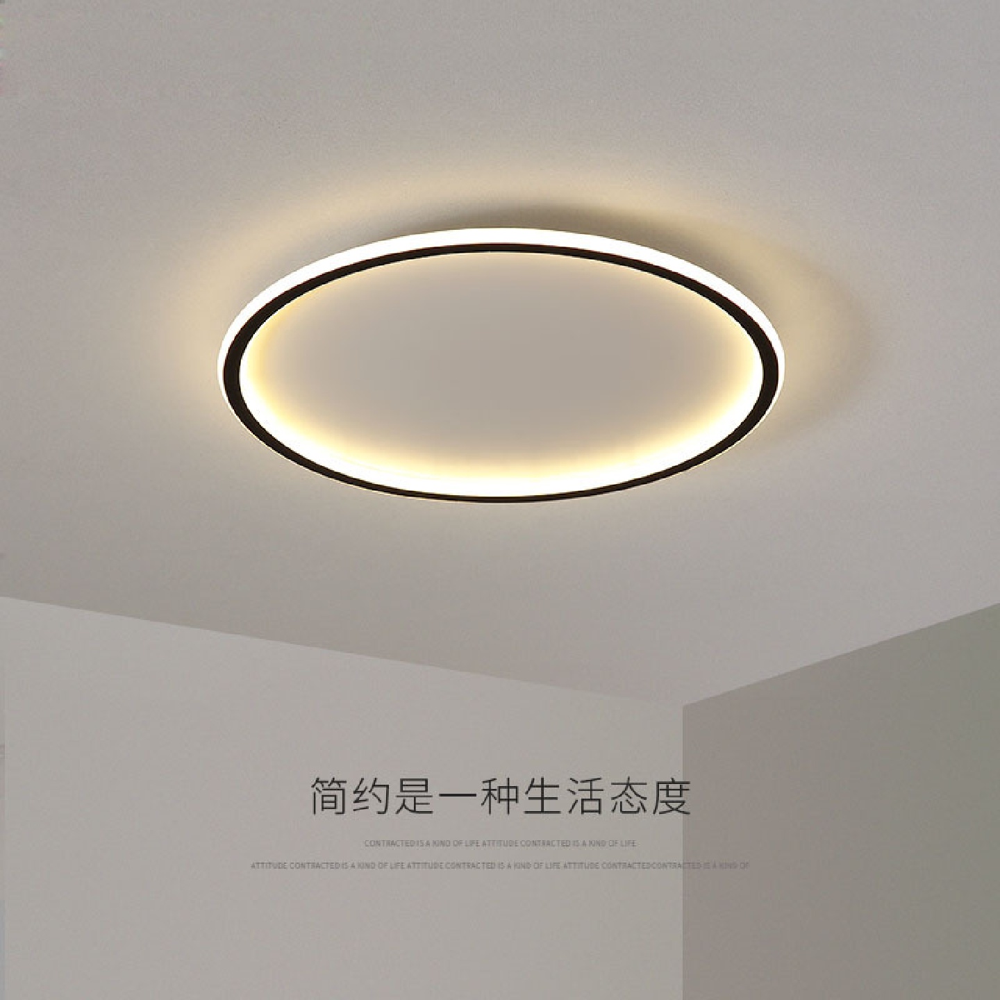 北欧极简吸顶灯圆形现代大气2021年新款卧室书房灯具超薄客厅灯