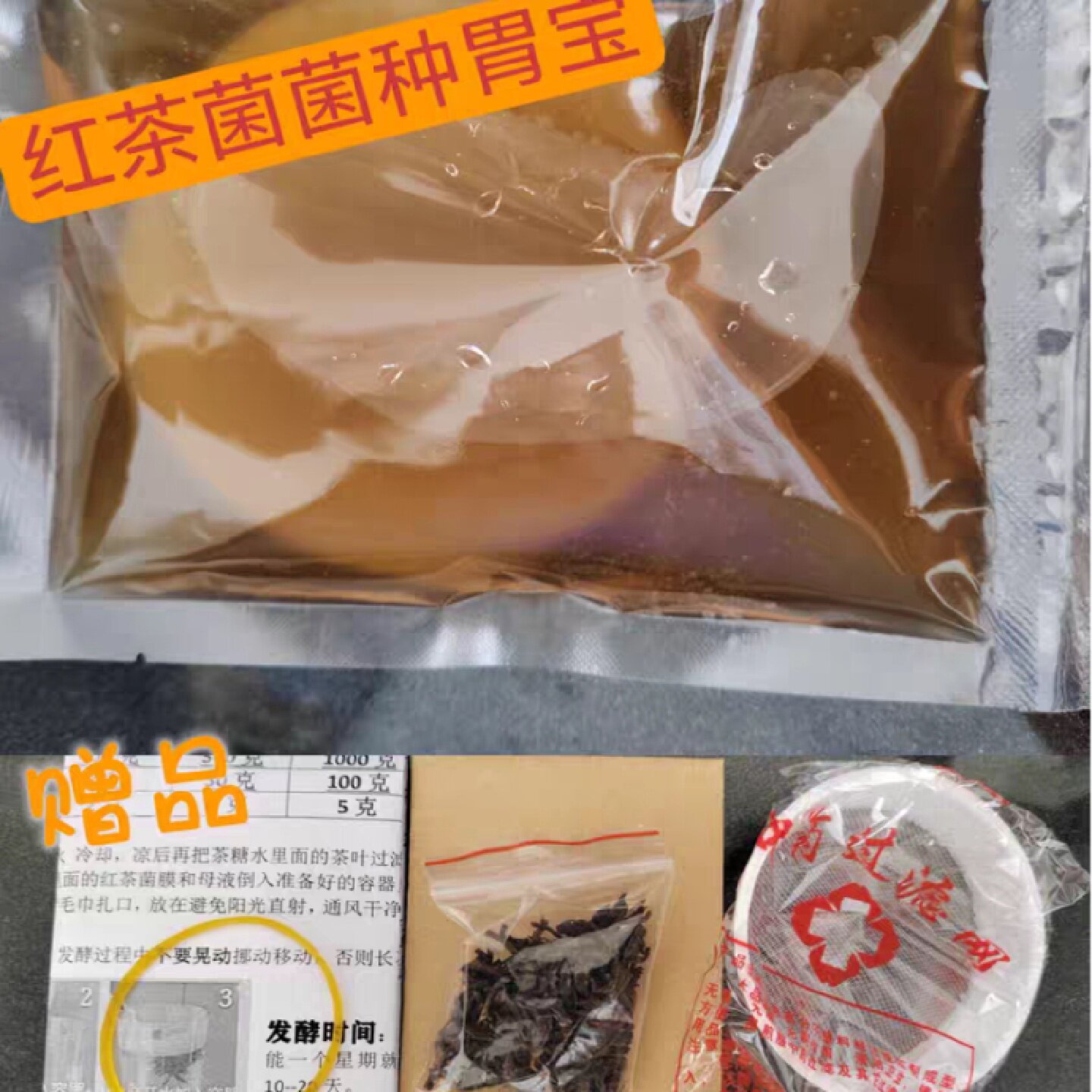 正宗老胃宝红茶菌菌种康普茶醋蛾子海宝茶饮料食用菌发酵母液