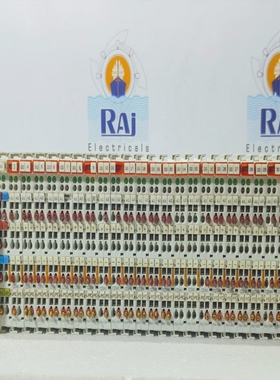 WAGO750-301CPU750-501/750-502DIGITALINPUTI/OMODULES2