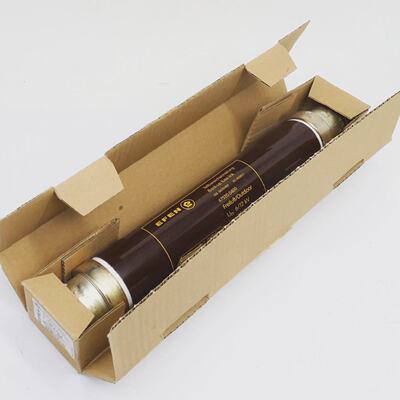 Efen 67520.0400 675200400 612kV 40ALA Teilbereichsicherung u
