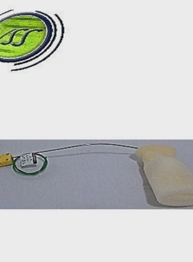 ASMJAPANFURNACE400K型淋浴头热敏鞋95101-83002