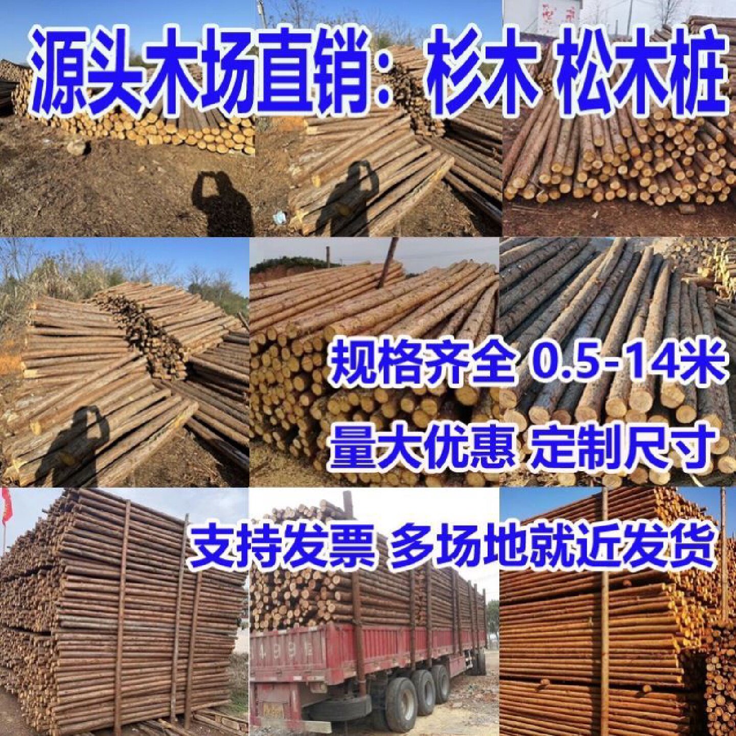 松木桩打桩木户外河道护坡原木实木桩绿化杉木支伸缩杆落叶松木头