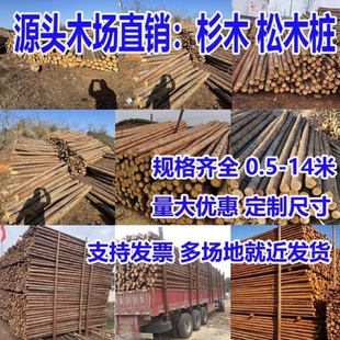 松木桩打桩木户外河道护坡原木实木桩绿化杉木支伸缩杆落叶松木头