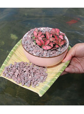 天然3-5mm黄色鱼眼石珍珠沙鹅卵石三用装水族造景/园林铺路/家居