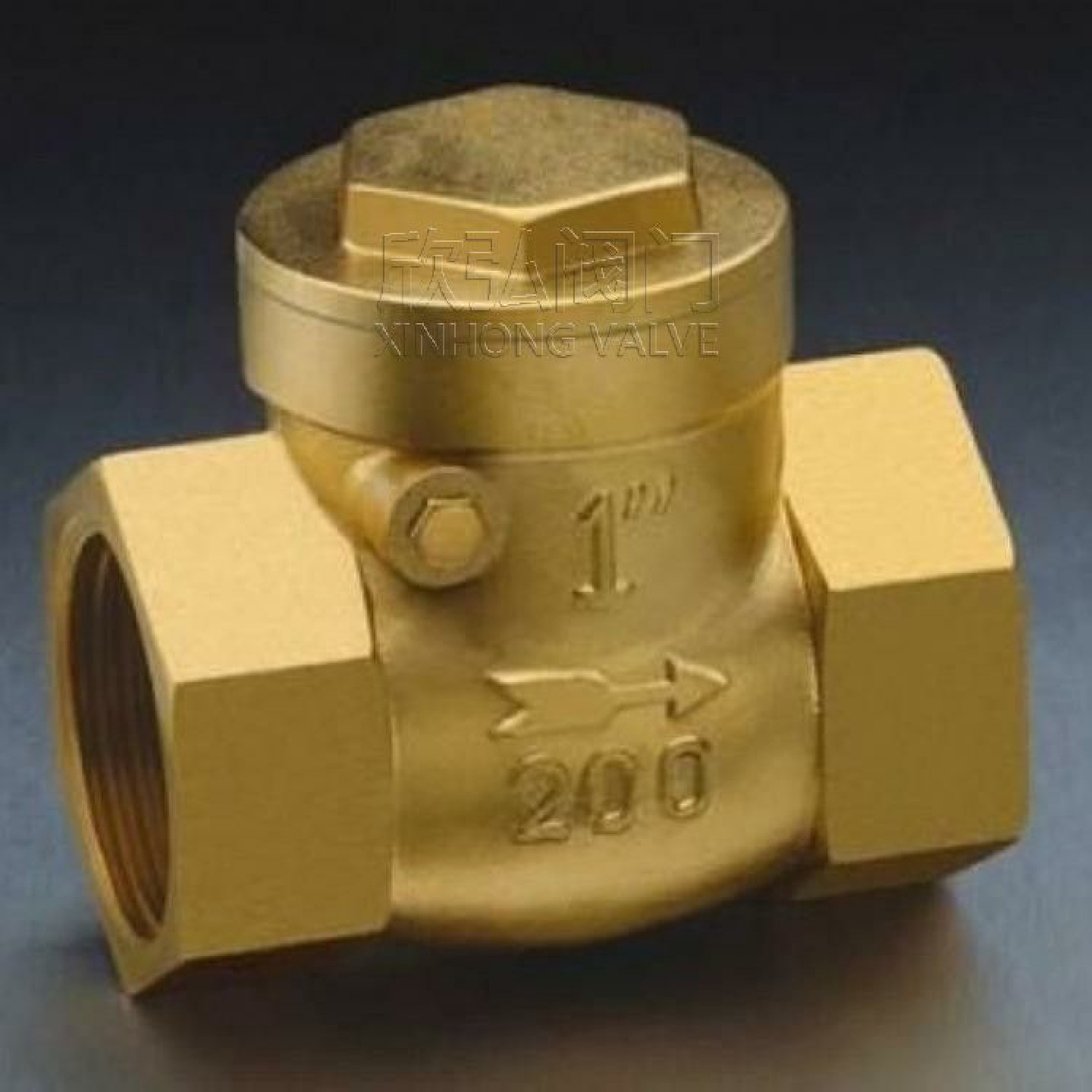 H14W-16T黄铜丝扣止回阀陶瓷法兰回水大口径欣弘阀门