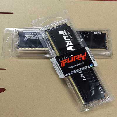 金士顿ddr532g56008g4800骇客神条野兽D--议价商品