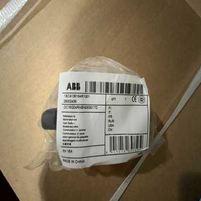 25002438 ABB OC16G04RNBN00S01T