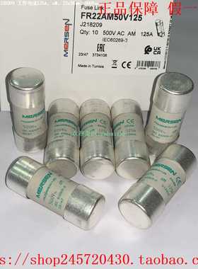 FR22AM50V100Y217693FR22AM50V125J218209MERSEN保险丝