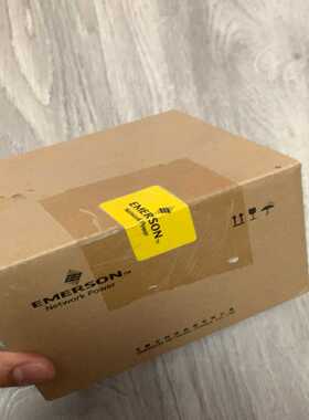 艾默生EMERSON爱默生PLCEC10A-1006BRA--议价商品