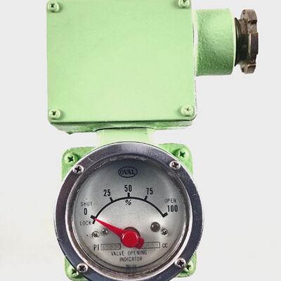 Indicateur DOuverture De Soupape Ovale PI45B30 3181 C.C N252