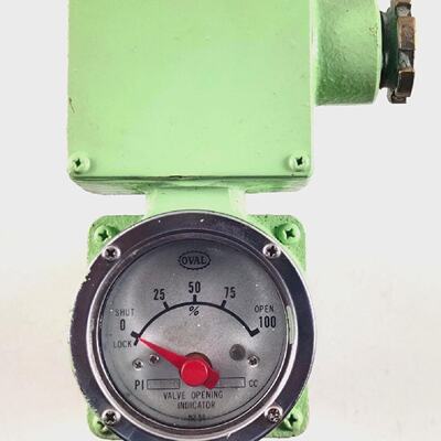 Indicateur DOuverture De Soupape Ovale PI45B30 1413 C.C N252