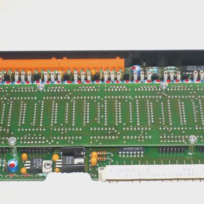 Nuovo BR ECPA810 Uscita Modulo Rev.01.00 ECPA810