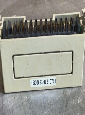 1B30023H02Ovation端子模块