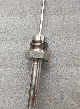 【议价】EndressHauser温度传感器TMR35  实物图议