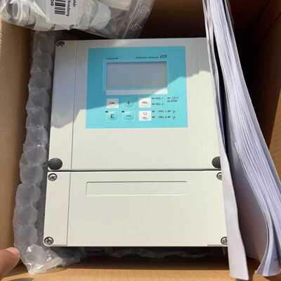 EH恩德斯豪斯CPM253-MR0005--议价商品