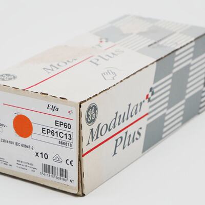 10x General Electric Elfa EP60 EP61C13 1P C13 Leitungsschutz