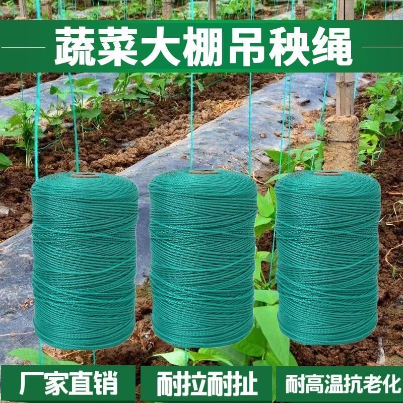 农用防老化吊蔓绳吊秧绳大棚用塑料绳子黄瓜西红柿绑蔓蔬菜吊绳