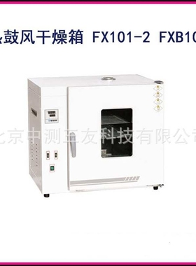 电热鼓风干燥箱 FX101-2 实验室烘箱恒温鼓风烘干箱 小型干燥箱