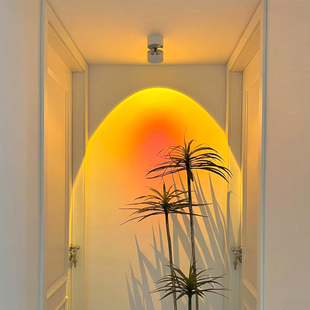 日不落射灯可调角度走廊客厅壁画 画装饰氛围落日夕阳红射灯玄关