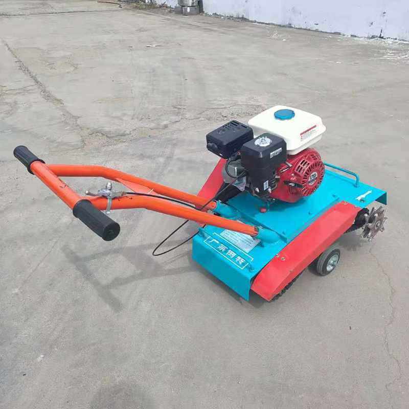 厂家供应汽油混凝土路面清灰机 手推式电动清灰机 清渣机,鲜花速递/花卉仿真/绿植园艺,割草机/草坪机,淘宝优惠券,粉丝福利购,淘宝优惠卷