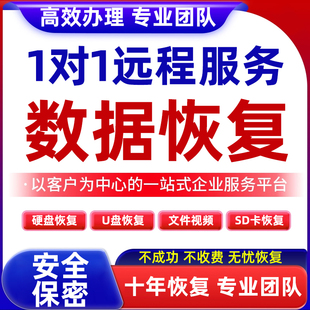 电脑移动硬盘数据远程恢复内存sd卡U盘文件照片修复损坏软件服务