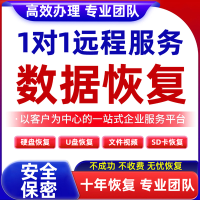 电脑移动硬盘数据远程恢复内存sd卡U盘文件照片修复损坏软件服务