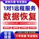 电脑移动硬盘数据远程恢复内存sd卡U盘文件照片修复损坏软件服务