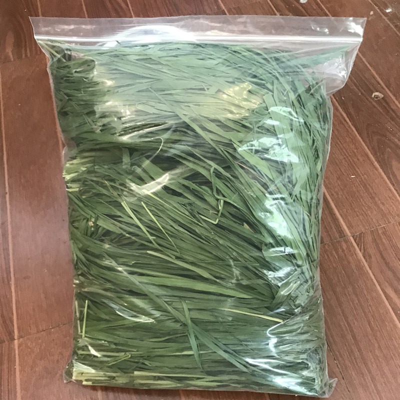 精选烘干绿燕麦草多叶烘烤干草兔草兔子燕麦草高纤维兔粮500g包邮