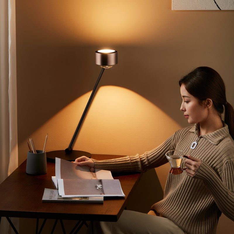 意大利唯亚司台灯护眼学习专用卧室轻奢高级感书桌工作2024年新款